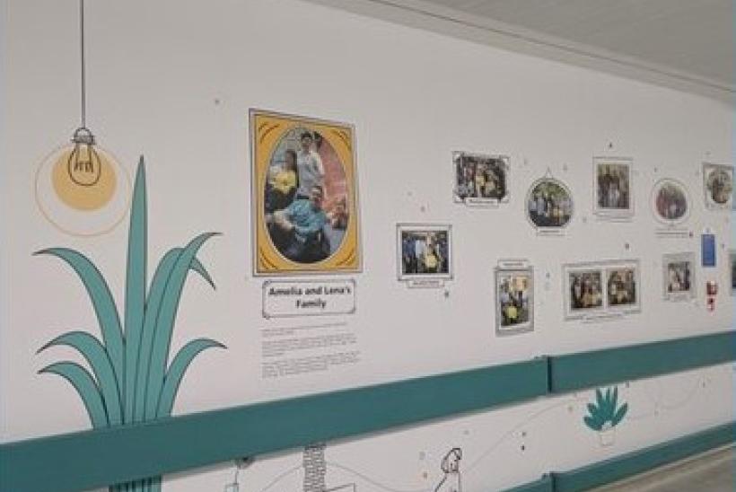 A part of a wall with framed photos of families hung up above a turquoise line and a drawn flower pot to the left.