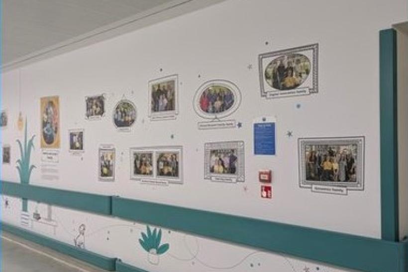 A part of a wall with framed photos of families hung up above a turquoise line.