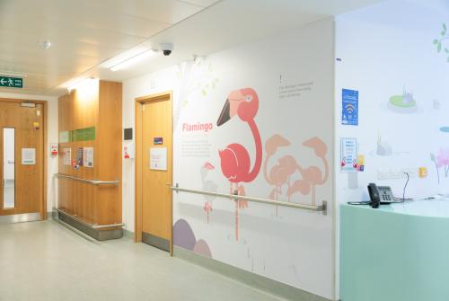 استقبال جناح فلامينغو